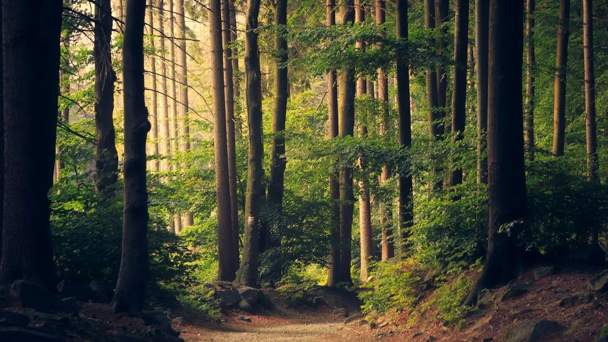 Vizalia in Your CSR Strategy: Reducing Your Carbon Footprint, Limiting Field Trips, and Improving Quality of Work Life
